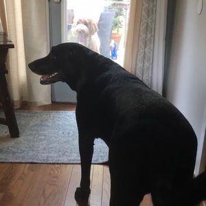 Meet your Posher, Lydia